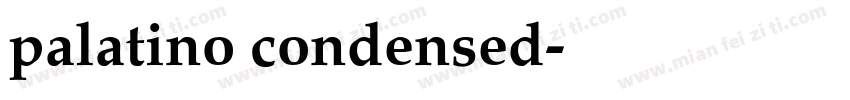 palatino condensed字体转换